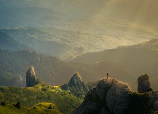 Une Joie Inébranlable