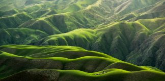 Demander à voir vraiment