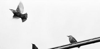 Le Créateur – Le Grand Changement & Vous