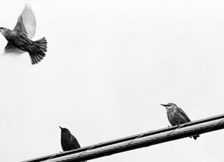 Le Créateur – Le Grand Changement & Vous