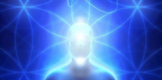 Émetteur-Récepteur pour Vivre le Processus de Transformation