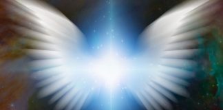 Conseils pour la Grande Transition