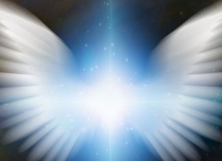 Conseils pour la Grande Transition