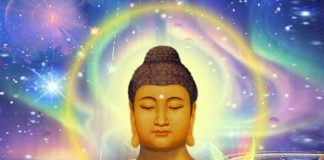 Sortons de Notre Cocoon pour Revetir l’Habit de Lumière