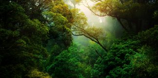 Dans l’esprit partagé