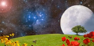 Mère Divine – « Grâce »