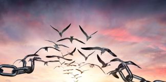 Le Créateur – Allez-y…