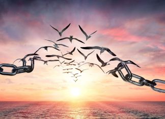 Le Créateur – Allez-y…