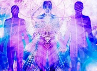 Le Collectif : Vous sentez-vous comme un poisson hors de l’eau ?