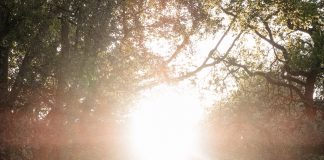 Les pensées de culpabilité se dissolvent dans la lumière