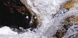 La Fédération Galactique : Ouvrir les vannes d’une plus grande Énergie