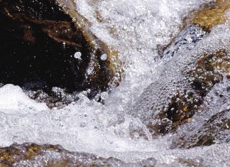 La Fédération Galactique : Ouvrir les vannes d’une plus grande Énergie