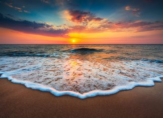 Le Créateur – Une Mer d’Amour Inconditionnel