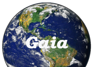 Gaïa – Je continue à Ascensionner et Vous ?
