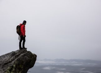 Message aux Travailleurs de Lumière – Tout est en train d’ascensionner, et pas seulement la Terre