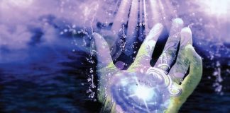 Le Créateur – Travaux en cours