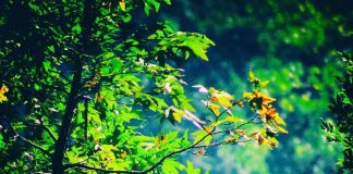 Le Créateur – Maintenir la Paix