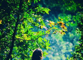 Le Créateur – Maintenir la Paix