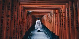 Le Créateur – Voir la Beauté