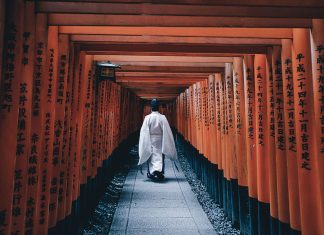 Le Créateur – Voir la Beauté