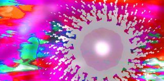 NOTRE SOI-DIVIN: LA VÉRITÉ N’EST PAS UNE EXPÉRIENCE