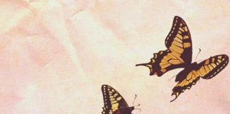 Le Créateur – Accordez-vous du Temps