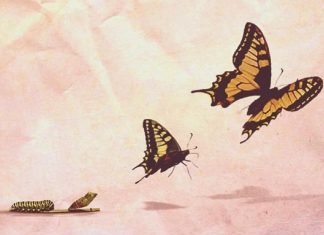 Le Créateur – Accordez-vous du Temps