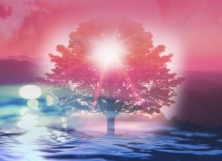 Elohim : Conflit et Résolution