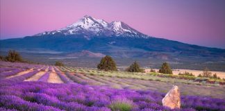 Un Temps d’Expansion de la Lumière