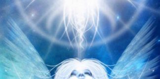 Regardez la Vie par le Prisme de la Conscience