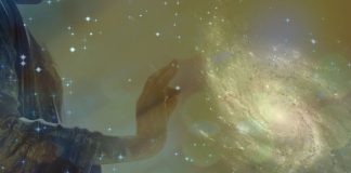 Accéder à la Sagesse du Futur