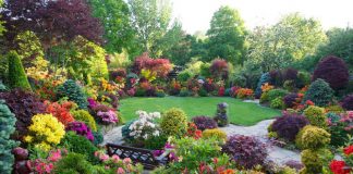 Équinoxe de Printemps – Planter le Jardin de votre Âme