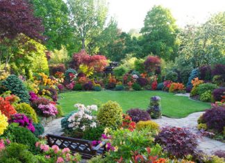 Équinoxe de Printemps – Planter le Jardin de votre Âme