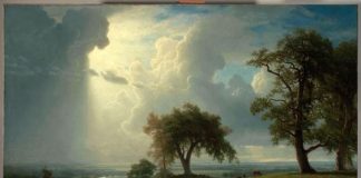 VOUS AVEZ PERMIS CETTE IMPOSTURE !