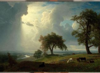 VOUS AVEZ PERMIS CETTE IMPOSTURE !