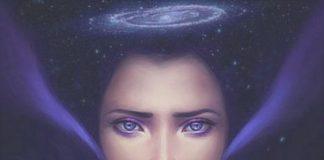 Un Signal Nous a Été Donné