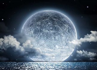 Le Créateur – Un Écho…