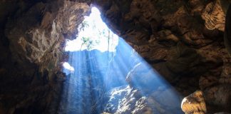 Des Objectifs à Plusieurs Niveaux