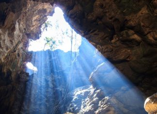 Des Objectifs à Plusieurs Niveaux