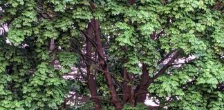 Pas de pouvoir dans la tension et l’agitation