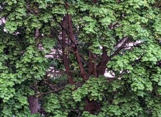 Pas de pouvoir dans la tension et l’agitation