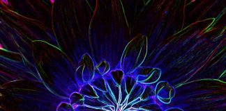 Dans quel Monde suis-je Tombé ?