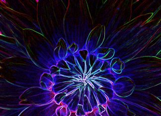 Dans quel Monde suis-je Tombé ?