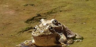 Chaque vibration se répercute sur l’extérieur