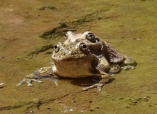 Chaque vibration se répercute sur l’extérieur