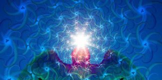 Une Profonde Renaissance s’active pour tous les Êtres de la Terre