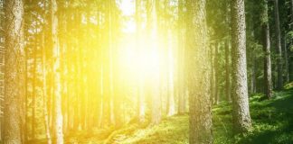 Votre Rôle Énergétique