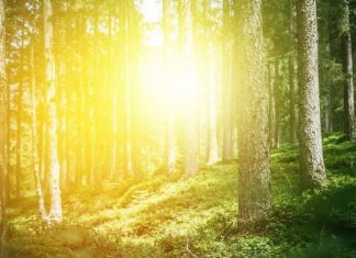 Votre Rôle Énergétique