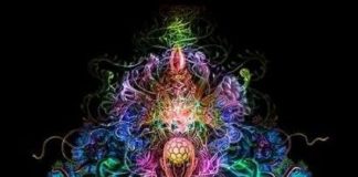 L’évolution est un processus continu – Physiquement, Émotionnellement, Mentalement et Spirituellement