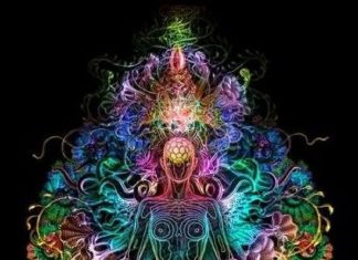 L’évolution est un processus continu – Physiquement, Émotionnellement, Mentalement et Spirituellement